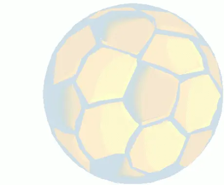 alytausgidas football1 2