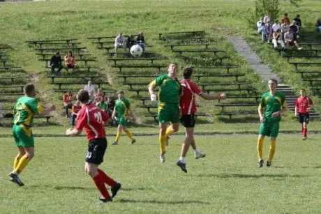 alytausgidas fule1