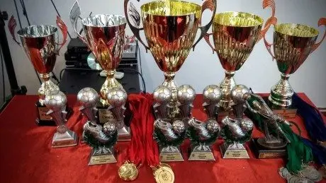 alytausgidas fut ff 151