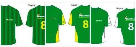 alytausgidas futbalt