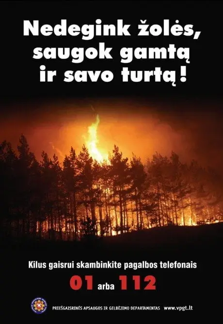 alytausgidas gaistras1