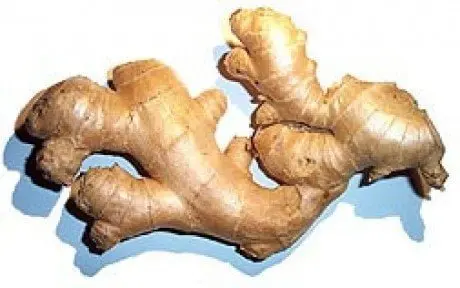 alytausgidas gingembre1