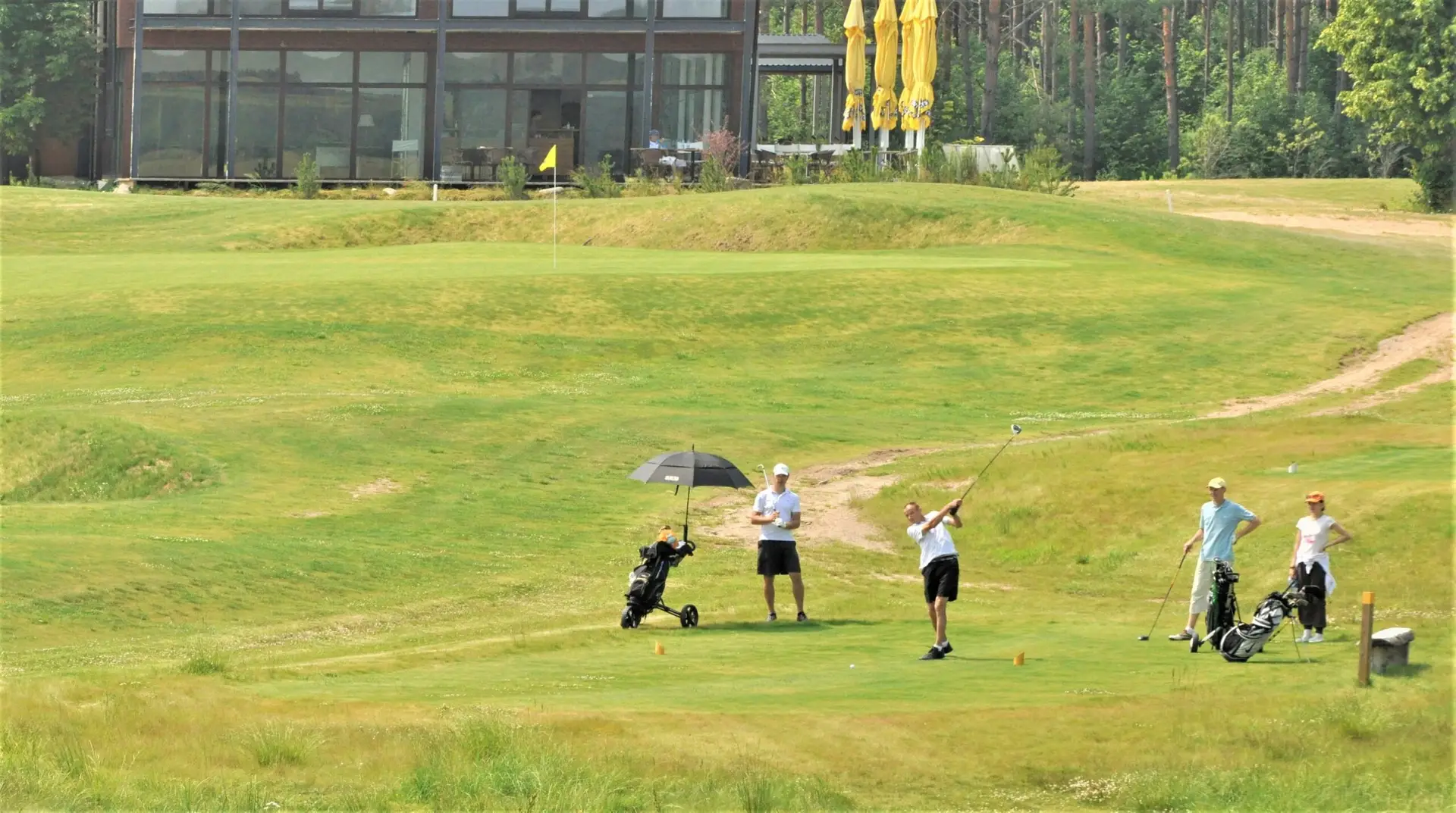 alytausgidas golfwolf1