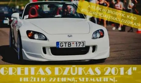 alytausgidas greit dzuk1