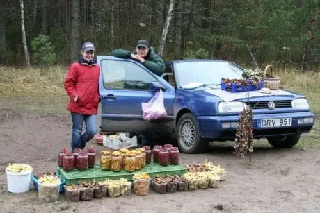 alytausgidas gryb1ai23