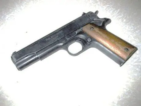 alytausgidas gunimg 0203 1