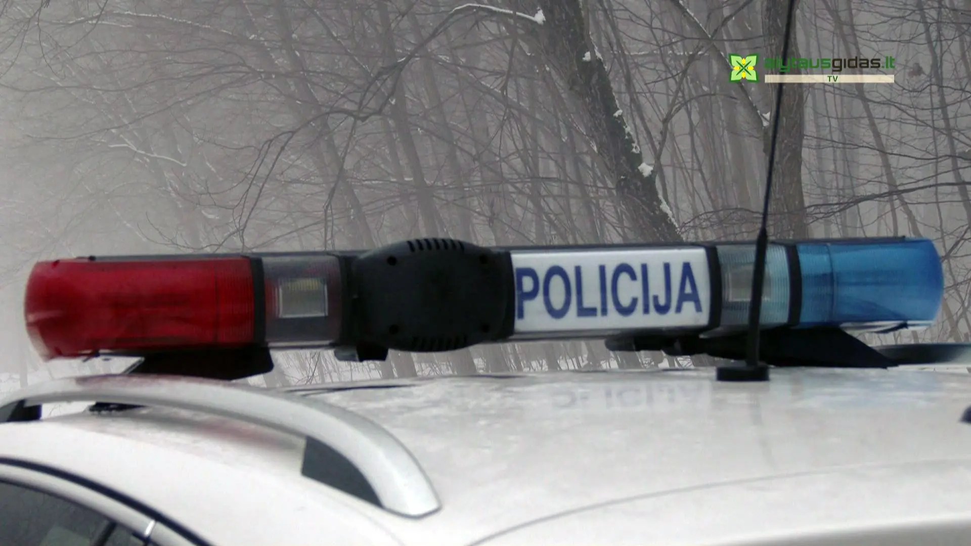 alytausgidas i archyva00000000