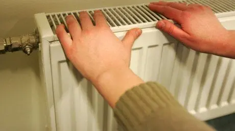 alytausgidas iluma rokasmedonis1