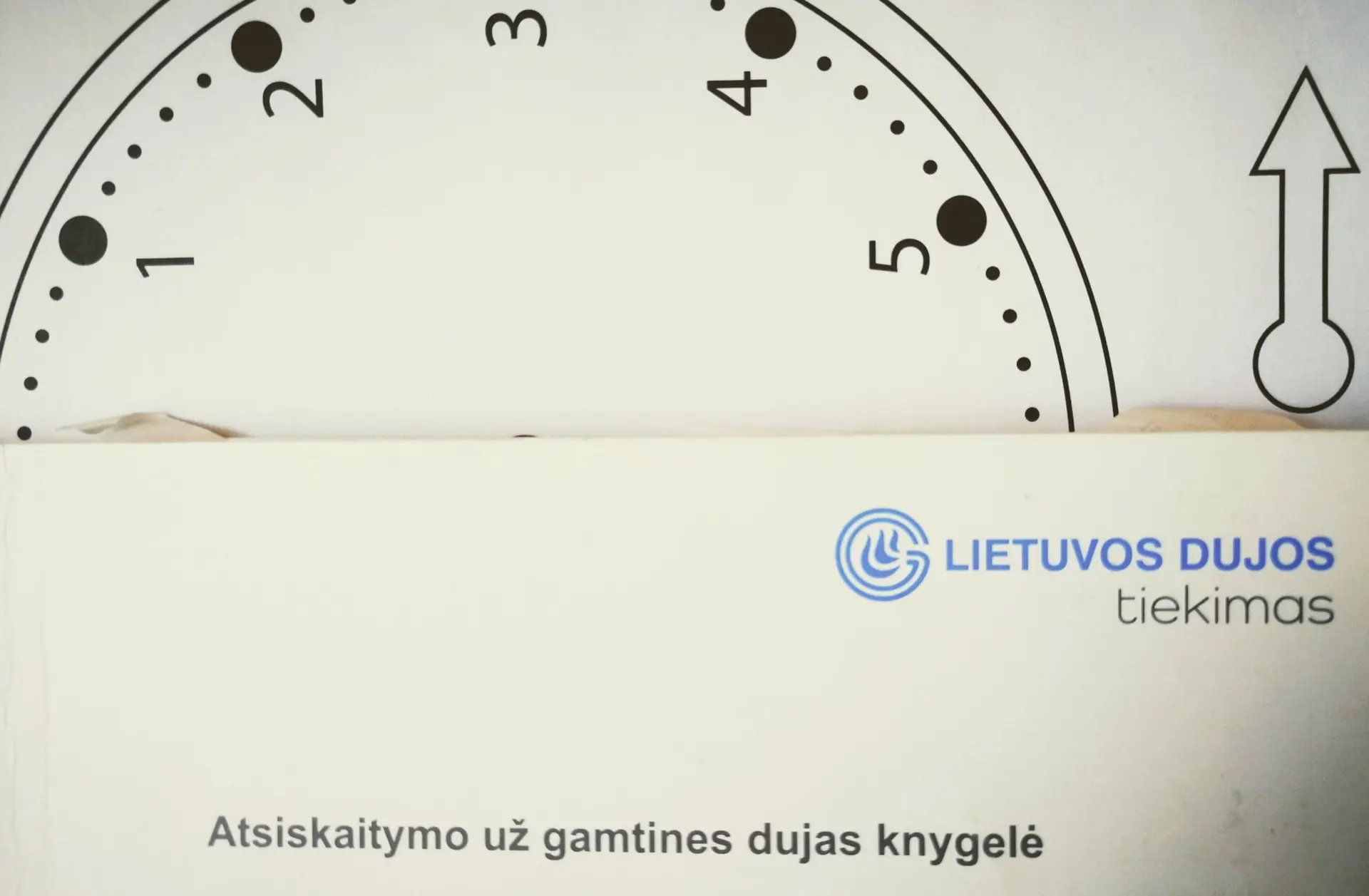 alytausgidas img 20180219 133428