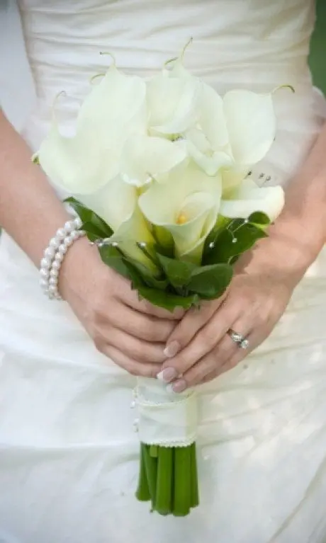 alytausgidas index weddings21