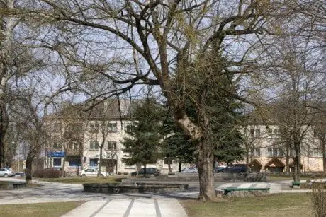 alytausgidas juozasvitas12