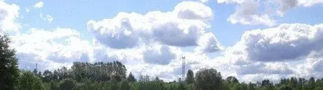 alytausgidas kalvo1