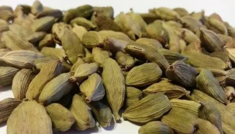 alytausgidas kardamo3