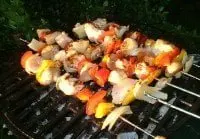 alytausgidas kebab41