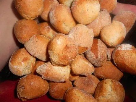 alytausgidas kuciukai puoduzongdscn07861