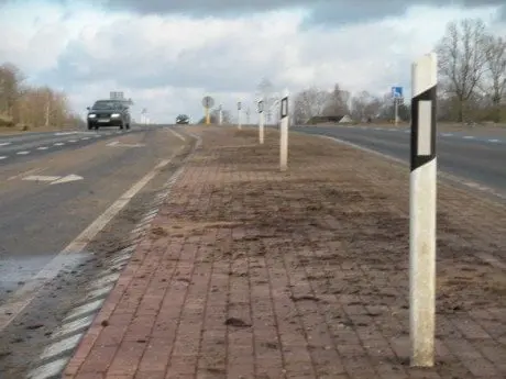 alytausgidas kuolukas1
