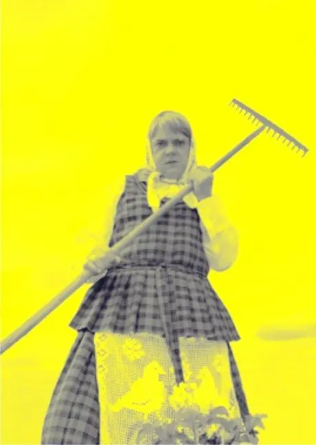 alytausgidas laikassant1