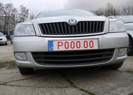 alytausgidas laikinieji zenklai 1 1
