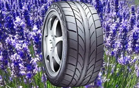 alytausgidas lavender tire 5001