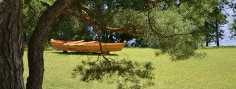 alytausgidas lazd a1