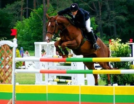 alytausgidas lazd hip1