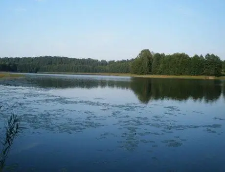alytausgidas lizdu1