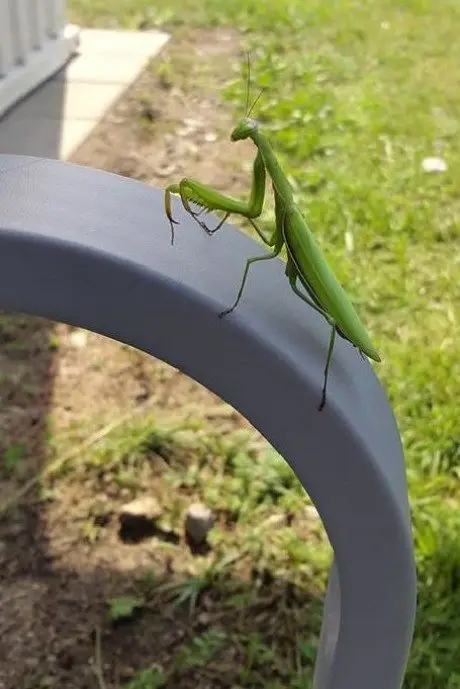 alytausgidas maldi1