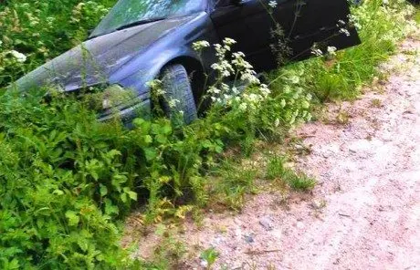 alytausgidas masi1