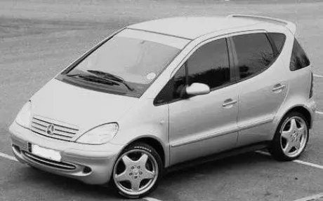 alytausgidas mc1