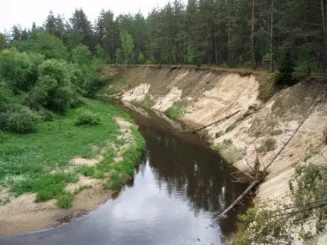alytausgidas merk