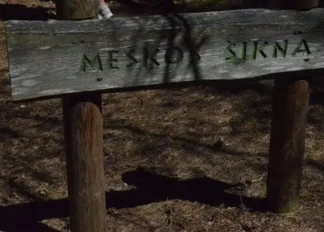 alytausgidas meskosi1
