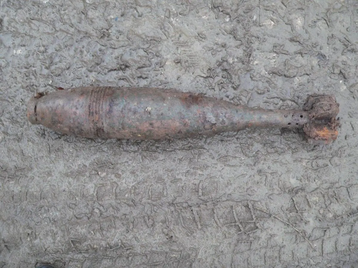 alytausgidas minos