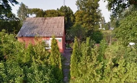 alytausgidas miro berul 21