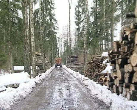 alytausgidas miska3