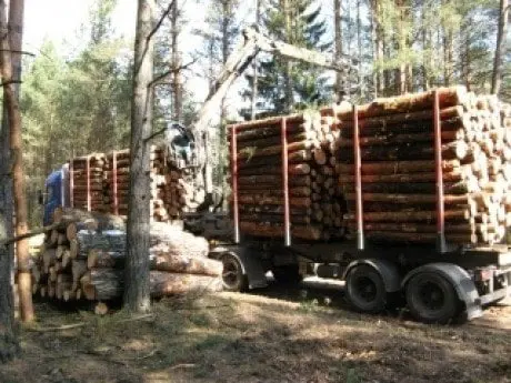 alytausgidas miskovez1982231