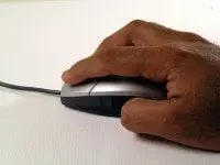 alytausgidas mouse31