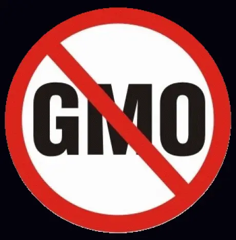 alytausgidas mp gmo free1