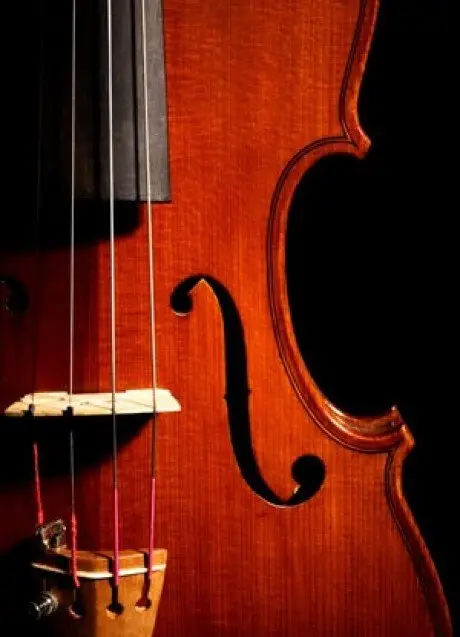 alytausgidas musica magna foto1