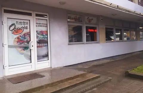 alytausgidas osvijalazdija