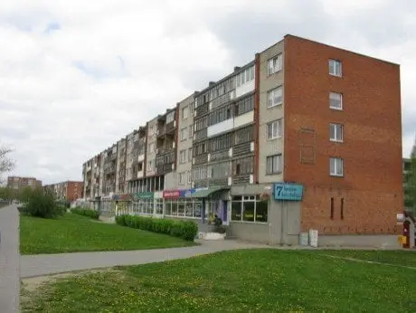 alytausgidas parduotuves putinai11