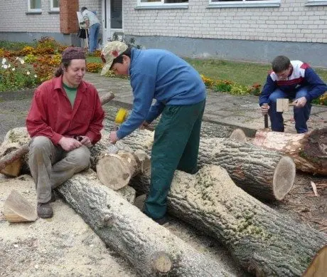 alytausgidas plenerkapc