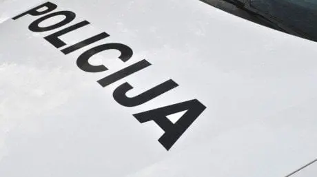 alytausgidas poli14