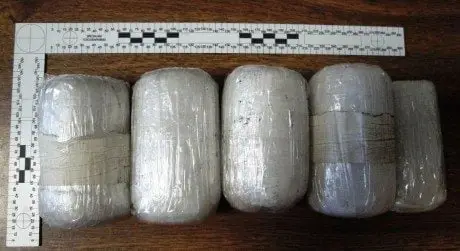 alytausgidas polinark