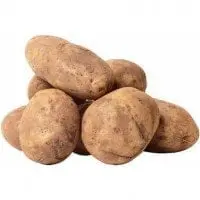 alytausgidas potato21