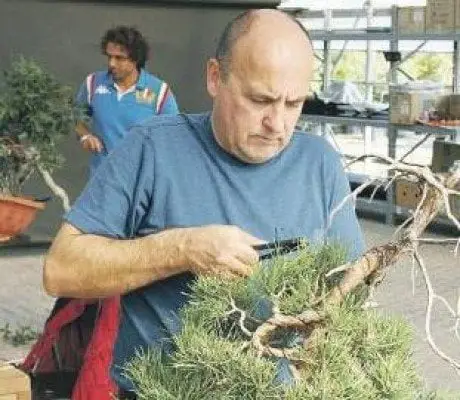 alytausgidas ptak1