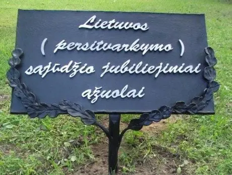 alytausgidas sajzuolai13