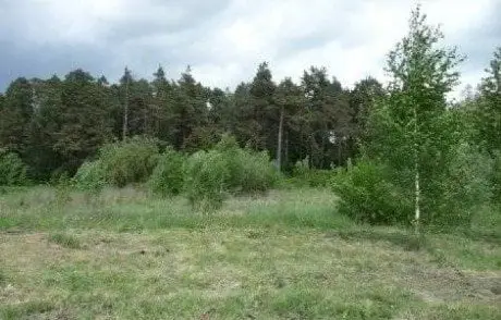 alytausgidas san1