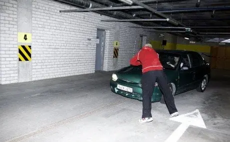 alytausgidas sauguseismas rokasmedonis1