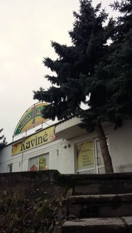 alytausgidas savkal1