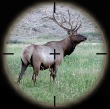 alytausgidas scope elk1